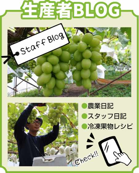 特定商取引法に基づく表示