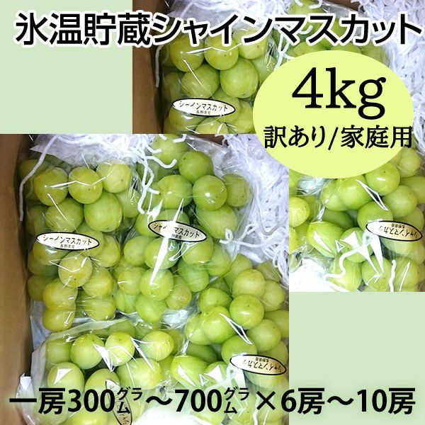 シャインマスカット4キロ☆家庭用・粒・訳あり☆食感良い☆北信州中野市産 氷温貯蔵シャインマスカット家庭用・訳あり4kg | 信州中野シャイン